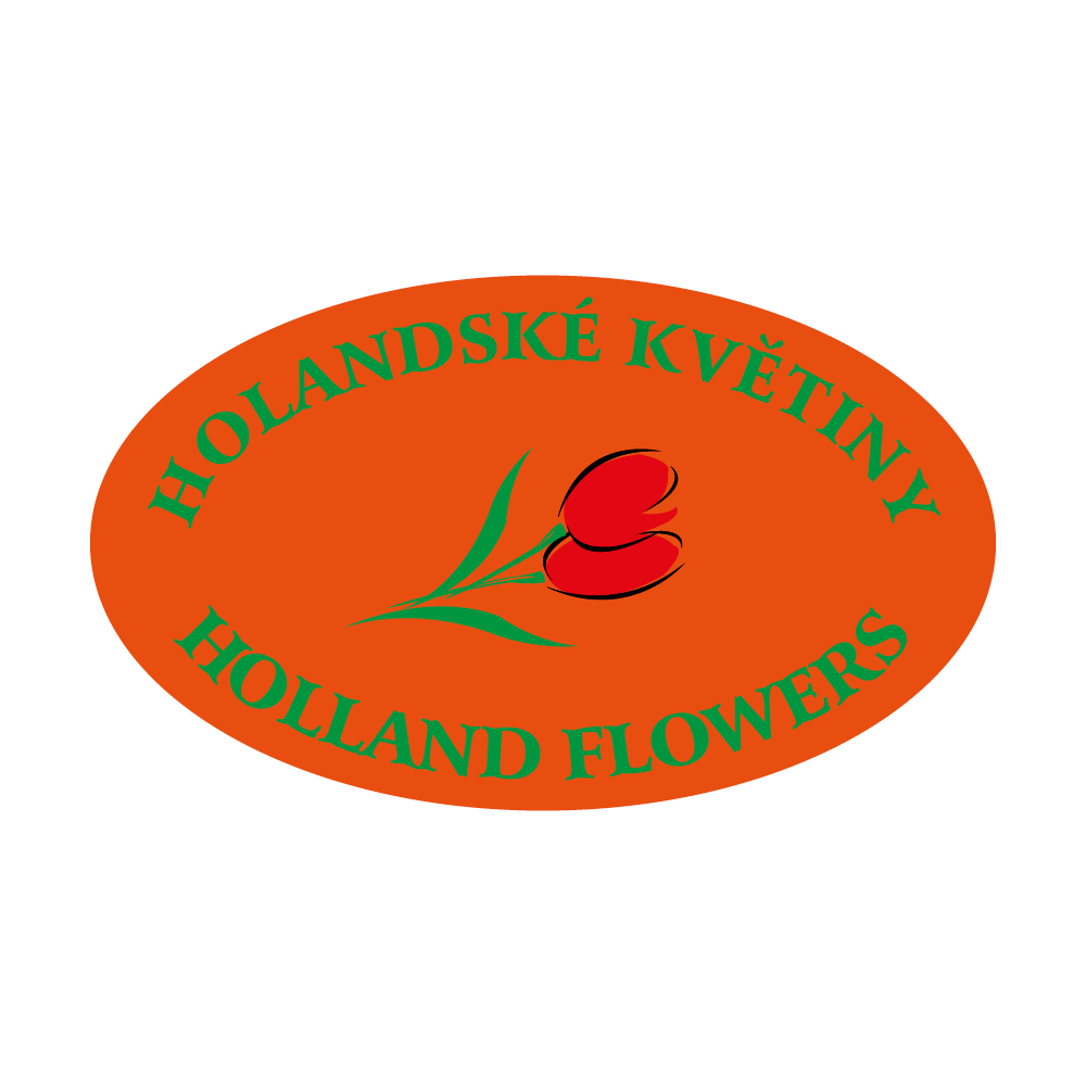 HOLANDSKÉ KVĚTINY